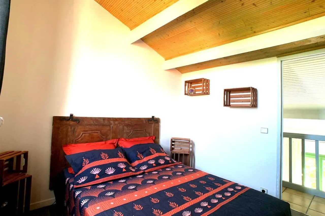 Renovated 2 Bedroom Duplex Apartment In The Center Of アンティーブ